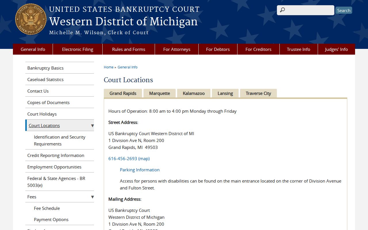 Newaygo County civil docket research showing the separate federal bankruptcy court path