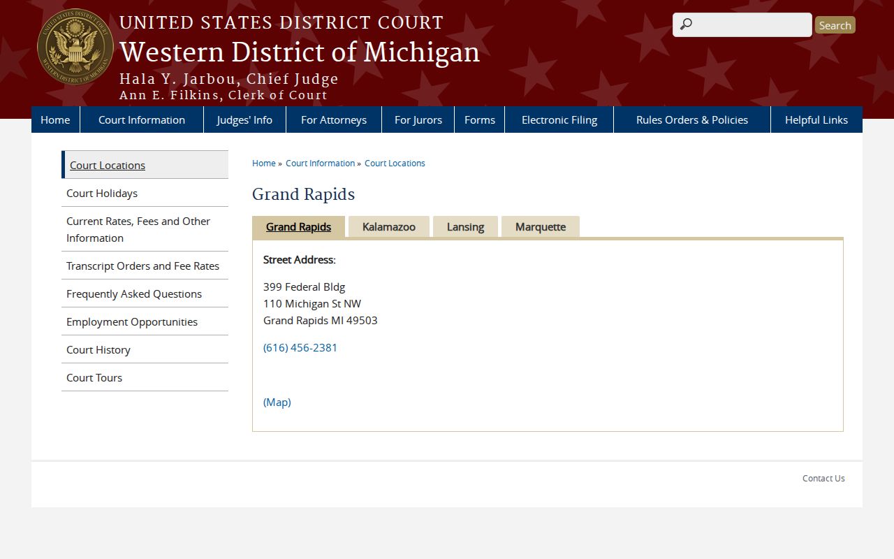 Newaygo County criminal docket research showing the separate federal court path