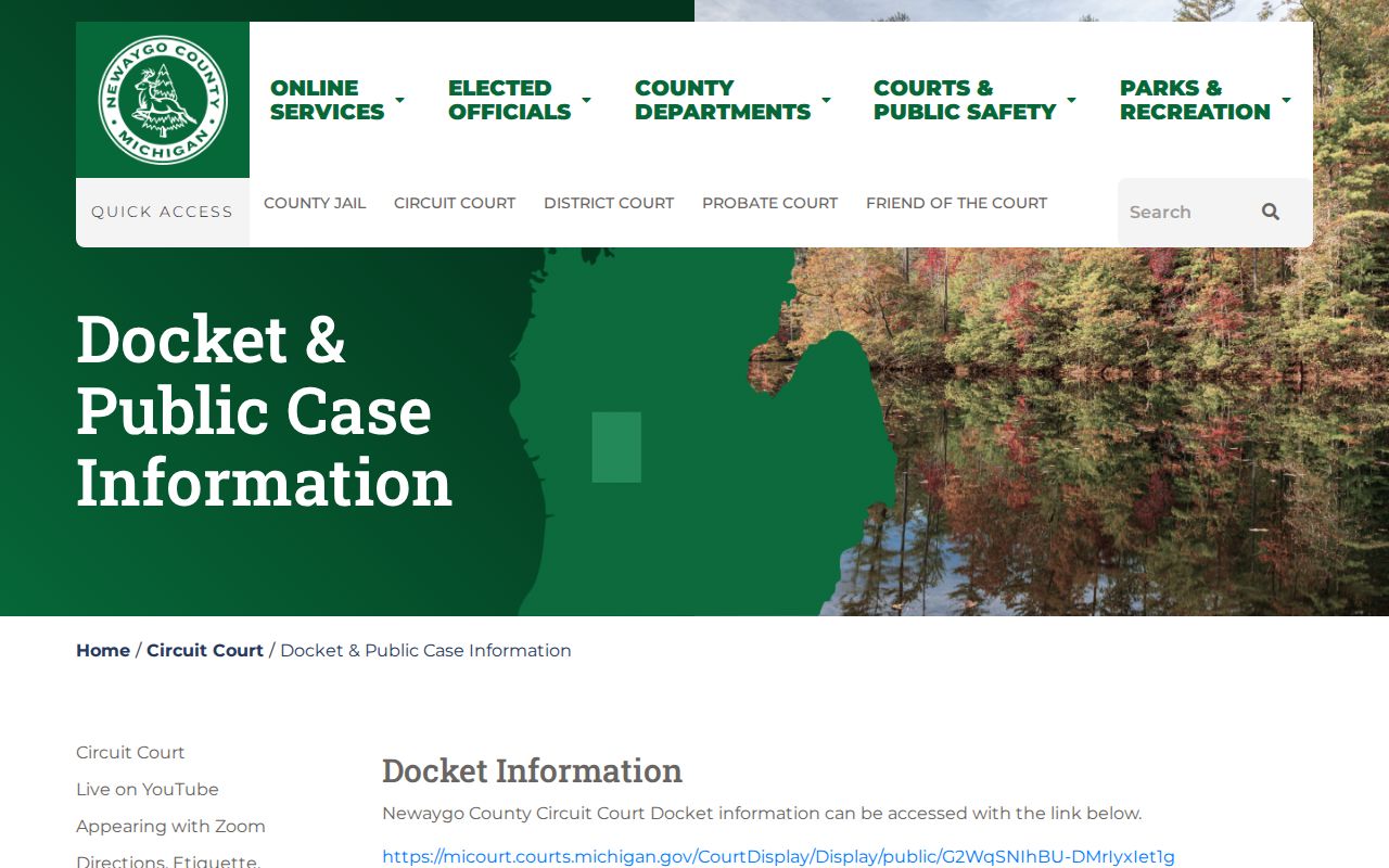 Newaygo County court docket public case information route