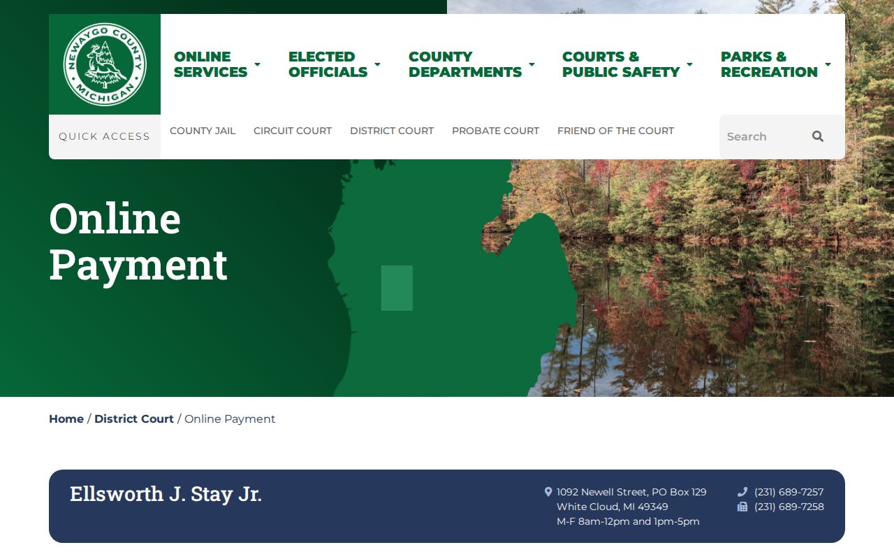 Newaygo County traffic tickets AllPaid payment instructions